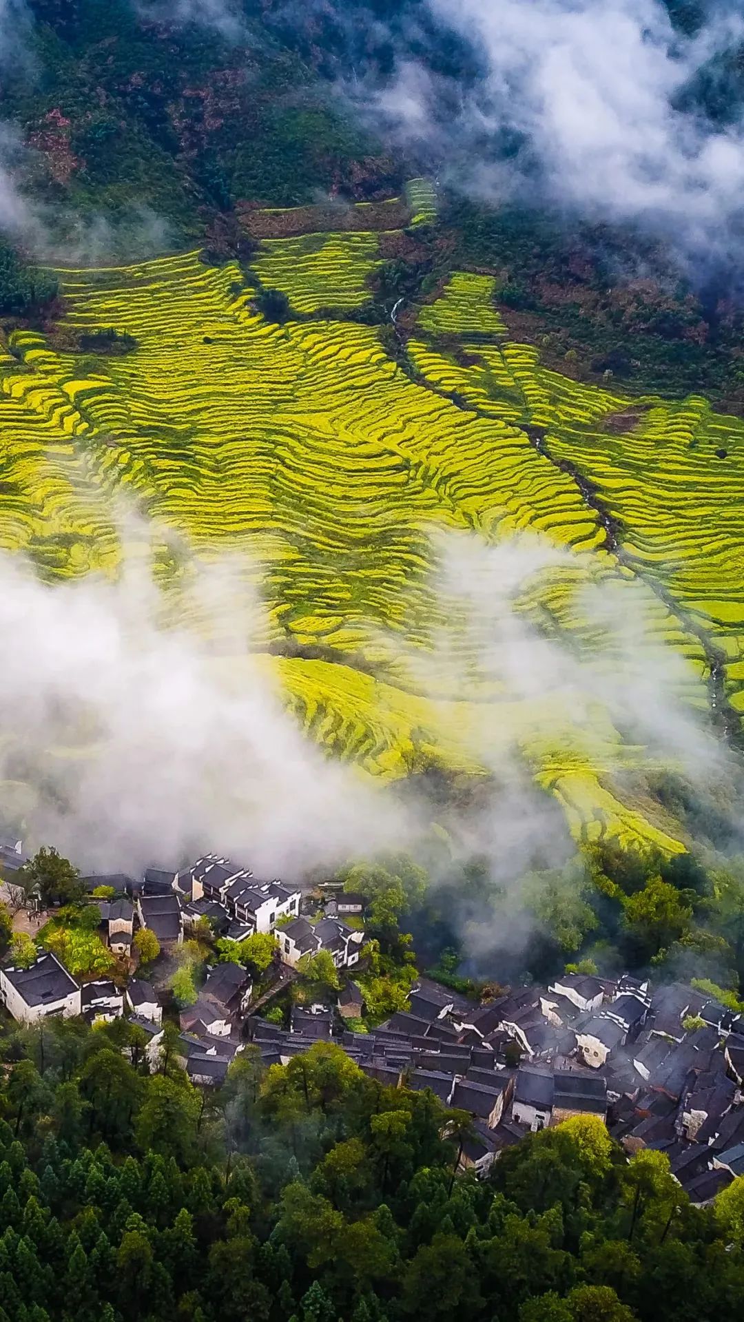 江西水墨画卷,散文中的山水人文韵律