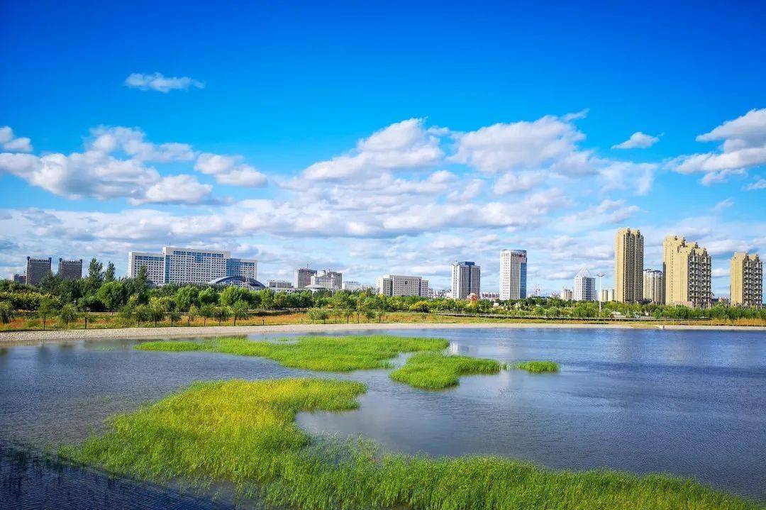 通辽小巷深处的独特美食之旅