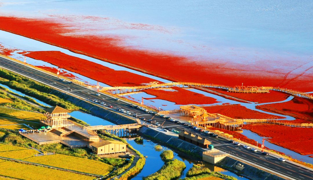 盘锦,湿地之城的独特韵味