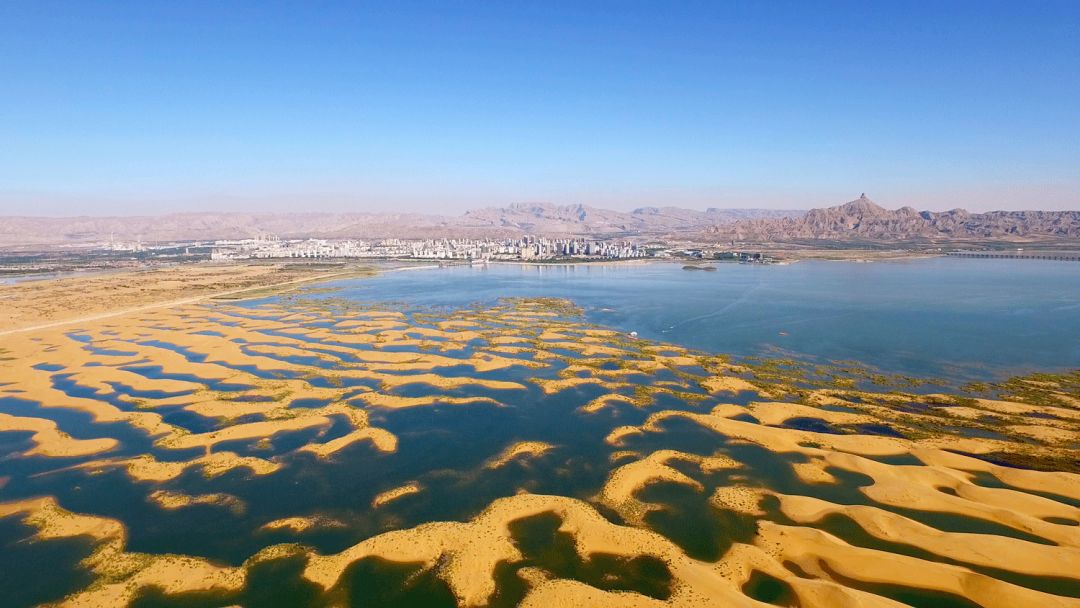 乌海,沙漠中的绿色奇迹之旅