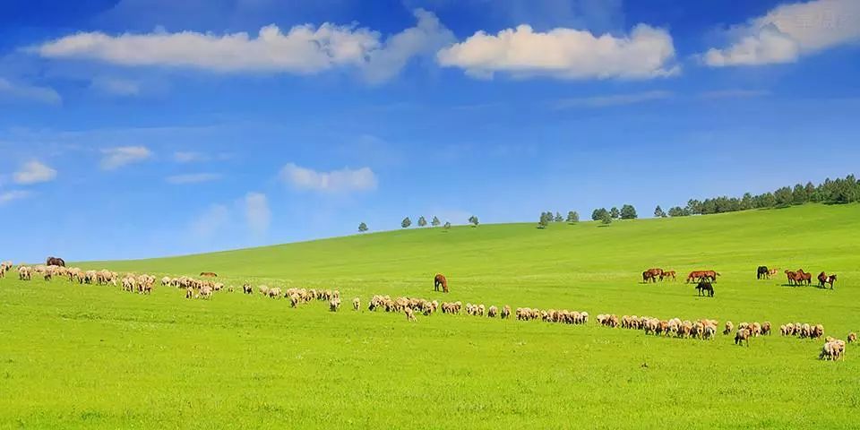 呼伦贝尔盛会，领导嘉宾与朋友们共聚一堂